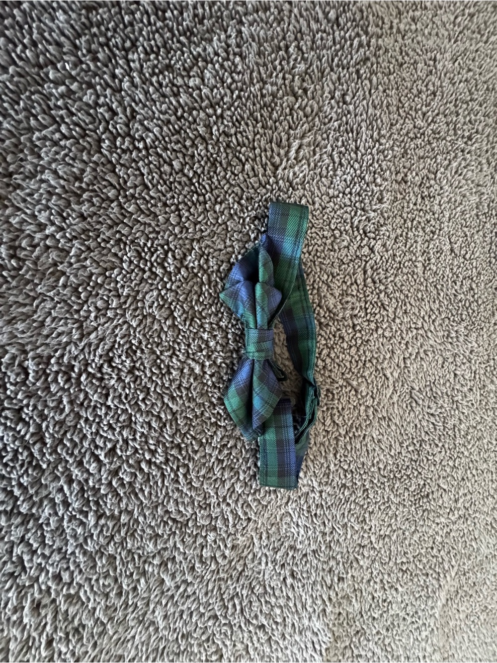 Crewcuts Boys Silk Green and Blue Blackwatch Tartan Plaid Bow Tie